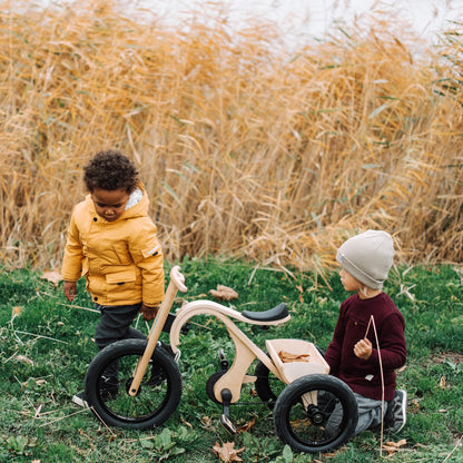 Two young children riding leg&go tricycles in field with dried grass background