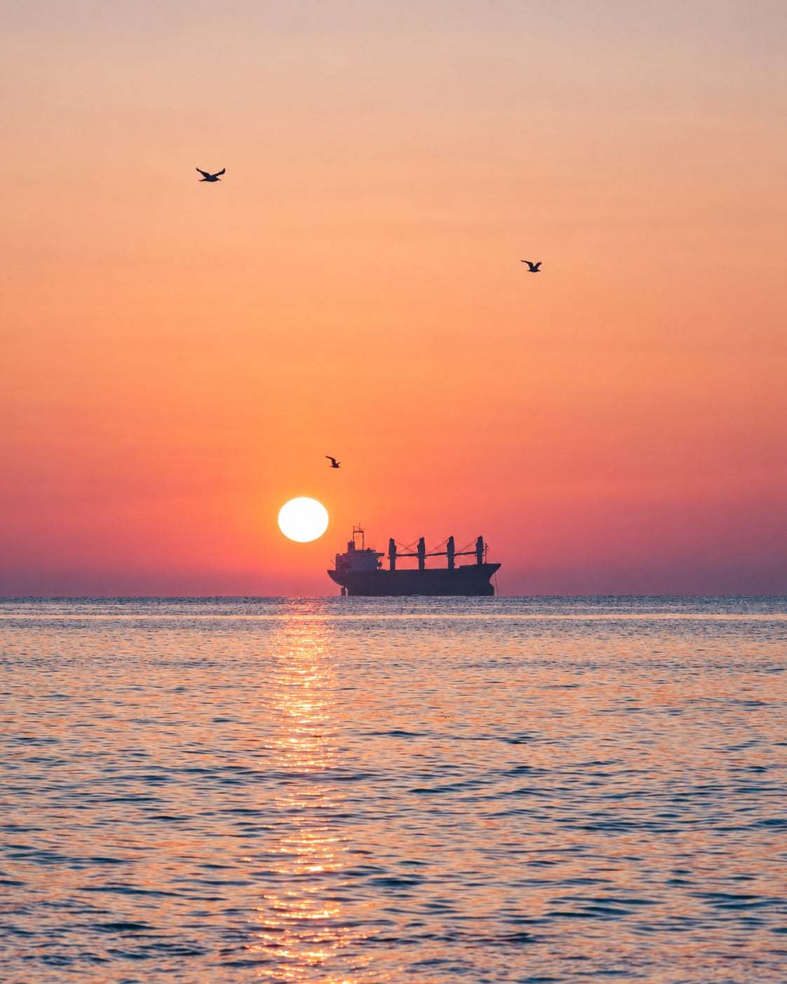 Peach-coloured sky over the Black Sea, with birds and a ship on the horizon